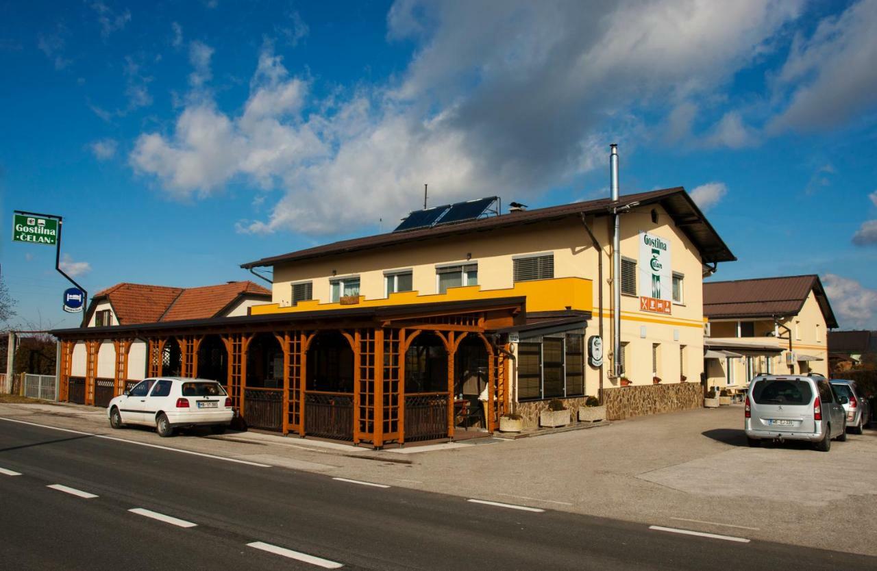 Guest House Celan Spodnja Hajdina Ngoại thất bức ảnh